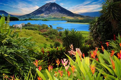 Le Costa Rica - Voyage de groupe