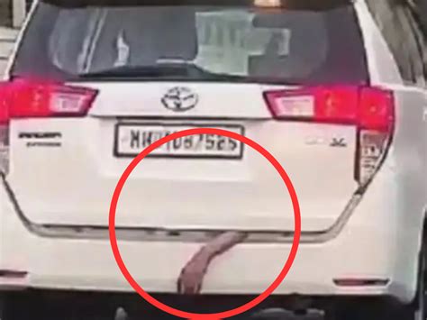Mumbai youths carrying a dead body in car? Hand hanging out of boot ...