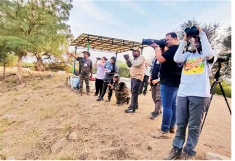 Thol Bird Sanctuary completes bird count, reopens | અભયારણ્ય ખુલ્લું ...