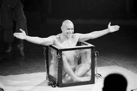 Image result for Small Box Contortion