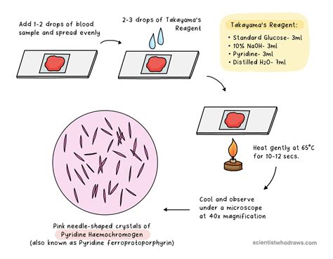 Confirmatory Blood Tests in Forensic Investigations — Scientist who ...
