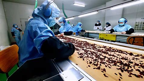 天津市“专精特新”种子企业入围名单公布 高新区44家企业榜上有名