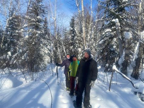 Forest Adventure, T&D Amisk Camp, Flin Flon, 24 March 2024 | AllEvents