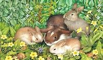 Image result for Cute Spring Time Spring Bunnies Getty Images