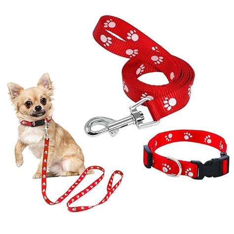 Jainsons Pet Products Paw Print Dog Puppy Nylon Leash Dogs Collar Set ...
