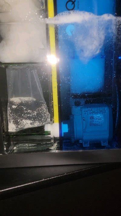 Image result for BioCube Filter Setup