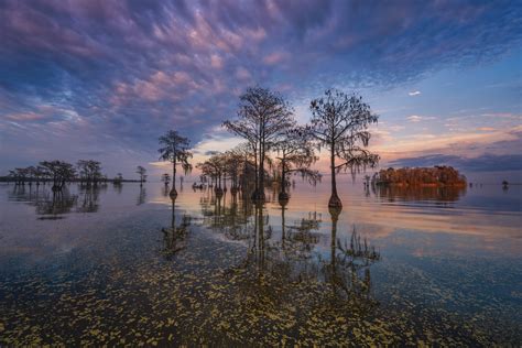 https://www.josephrossbach.com/images/xl/Lake-Moultrie-cypress-sunset-south-carolina.jpg?utm_source=chatgpt.com