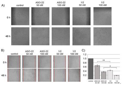 Composites of Nucleic Acids and Boron Clusters (C2B10H12) as Functional ...