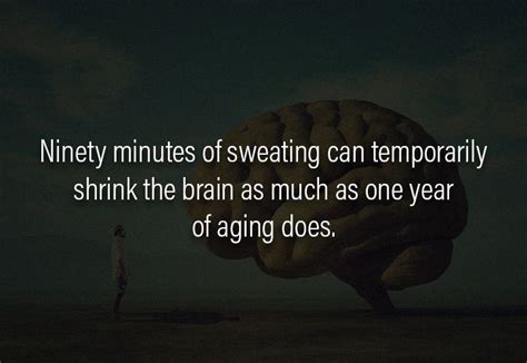 These Interesting Facts About Human Brain Will Blow Your Mind Away