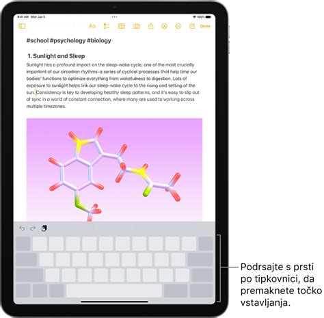 Tipkanje z zaslonsko tipkovnico v iPadu - Apple Podpora (SI)