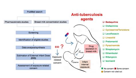 Infant Exposure to Antituberculosis Drugs via Breast Milk and Assessment of Potential Adverse ...