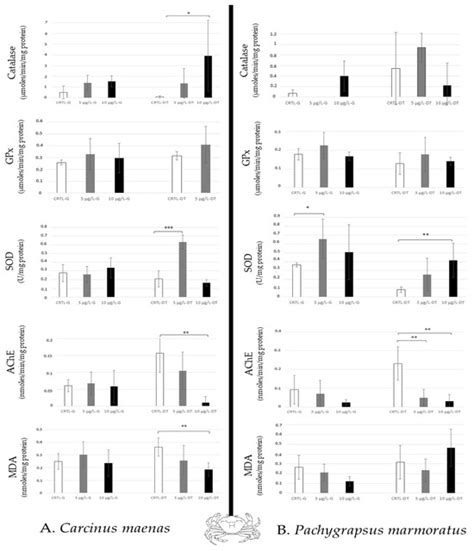 The Impacts of the Multispecies Approach to Caffeine on Marine ...