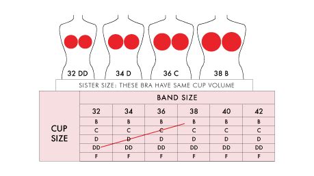 What is Bra Sister Size with Sister Size Charts & Table | amanté