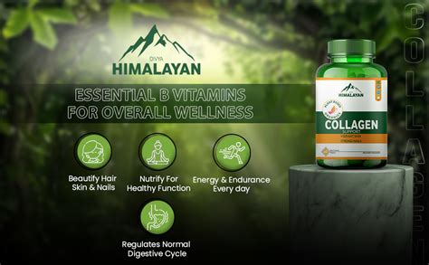 Divya Himalayan Collagen Support Supplement, 60 Tablets, Skin Health ...