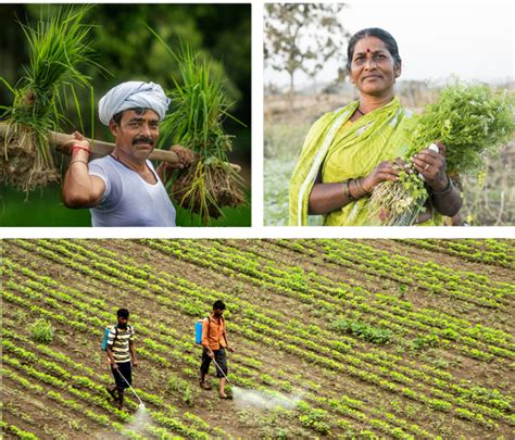 Media & Latest News for Nanofertilizers | IFFCO Nano Urea