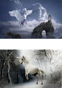 Decorative Wall Décor |Horses Poster Posters For Room /Hostels/Hotel ...