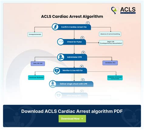 Image result for Advanced cardiac life support ACLS Algorithms