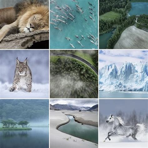 Guide To Using Free Luts for OBS