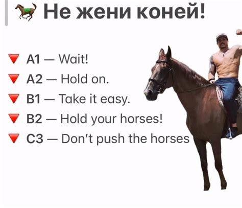 «Don't push the horses»: фраза Усика на пресконференції віруситься у ...