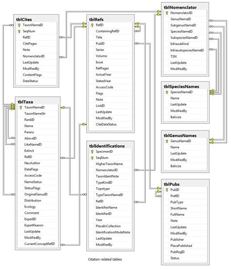 Image result for Reference Table Database