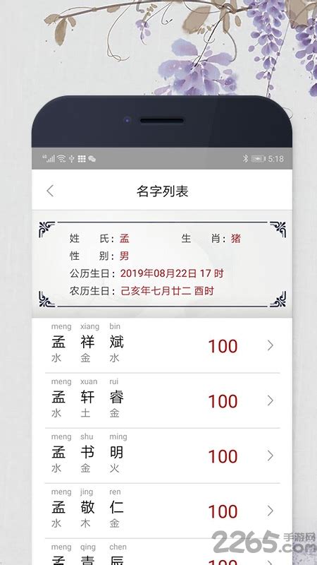 宝宝起名大师app下载-宝宝起名大师软件下载v1.2.5 安卓版-2265安卓网