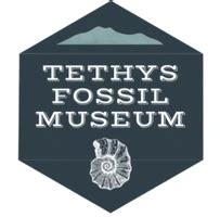 Tethys Fossil Museum - Home
