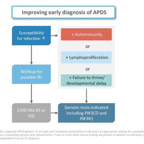Simplified diagram of the PI3K signaling pathway in B cells and T ...