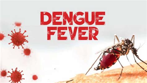 Dengue: డెంగ్యూ డేంజర్.. వర్షాకాలం వచ్చేసింది.. ఈ జాగ్రత్తలు తప్పనిసరి ...