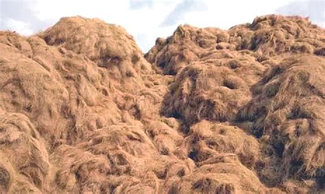 Pollachi's coir units in distress amid industry's continuous downward ...