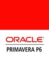 Image result for Primavera SQLite