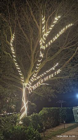 Hidden by Sea Restaurant - Teluk Jawa, Johor Bahru - Reviews, Photos ...