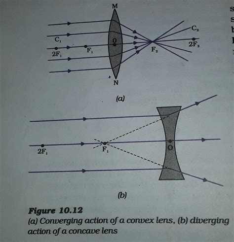 differentiate between converging and diverging lens explain with the ...