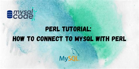 How to Connect Perl Programming with Database 的图像结果