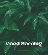 Image result for Good Morning Watercolor