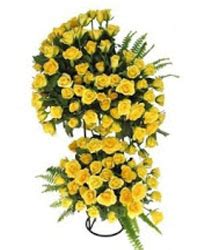 Roses India Send Red Roses to India - Buy Fresh Rose Florist India