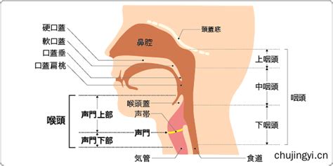 喉癌治疗,美国日本治疗喉癌-出境医