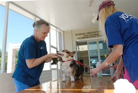 Photojournalism: Pups 'n Suds fundraiser - Augusta Good News