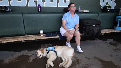 How a therapy dog became part of UNC’s baseball team | Raleigh News ...