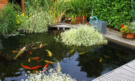 Butterfly Spanish Tutorial 的图像结果