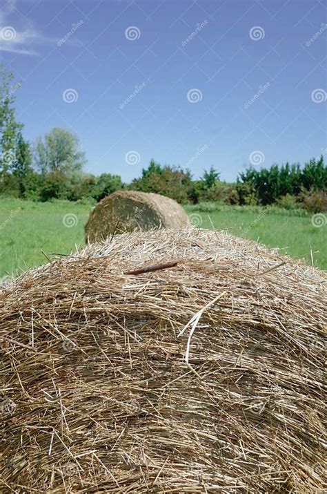 Haystack 的图像结果