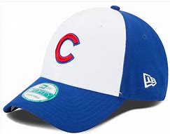 Image result for Dog Hat Chicago Cubs