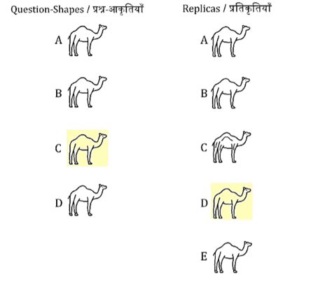 Similarity Test for RRB ALP Psycho Exam 2025