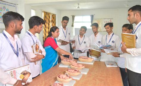 S N Institute of Nursing Sciences| Nirwan University Jaipur
