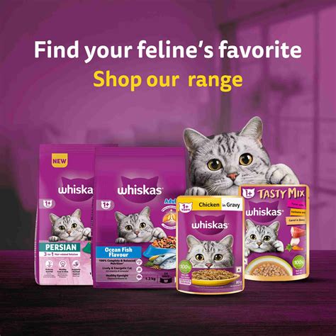 Whiskas (1+ Years) Fish 1.2 kg Dry Adult Cat Food Price in India - Buy ...