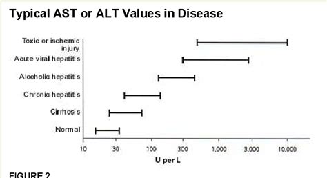 Image result for Normal AST Levels