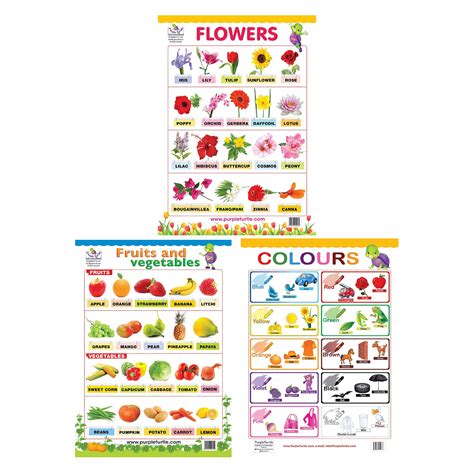 Fruits And Vegetables, Colours, and Flowers Charts for kids ...