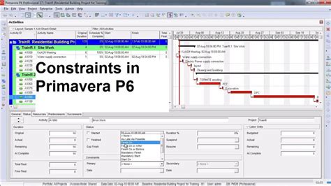Image result for Learn P6 Software