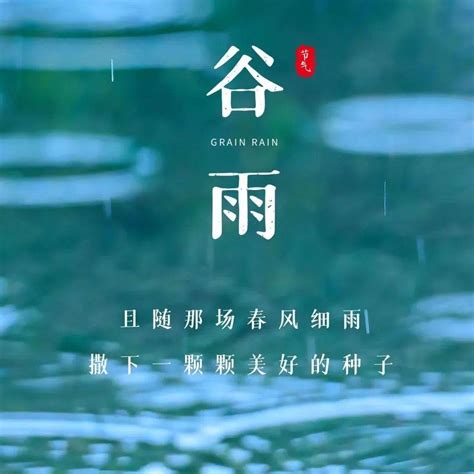 今日谷雨：雨生百谷，暮春将夏_我院_党委宣传部_陈晓莉