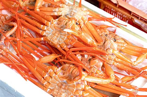 10 Best Local Dishes from Pohang - Famous Food Locals Love to Eat in ...