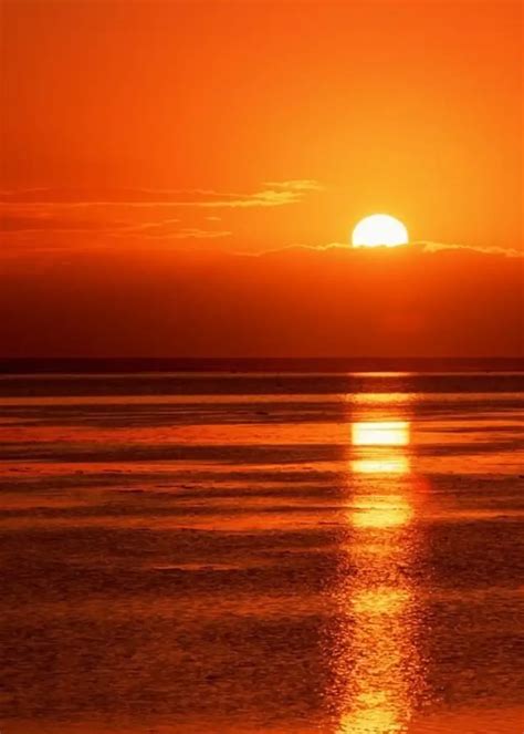 Orange Sunset | Orange Beauty, Elephants, Orange Drinks